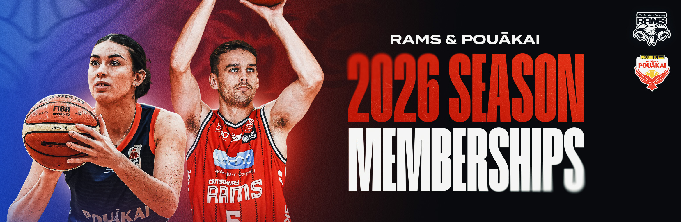 Canterbury Rams & Mainland Pouākai