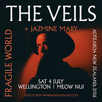 The Veils