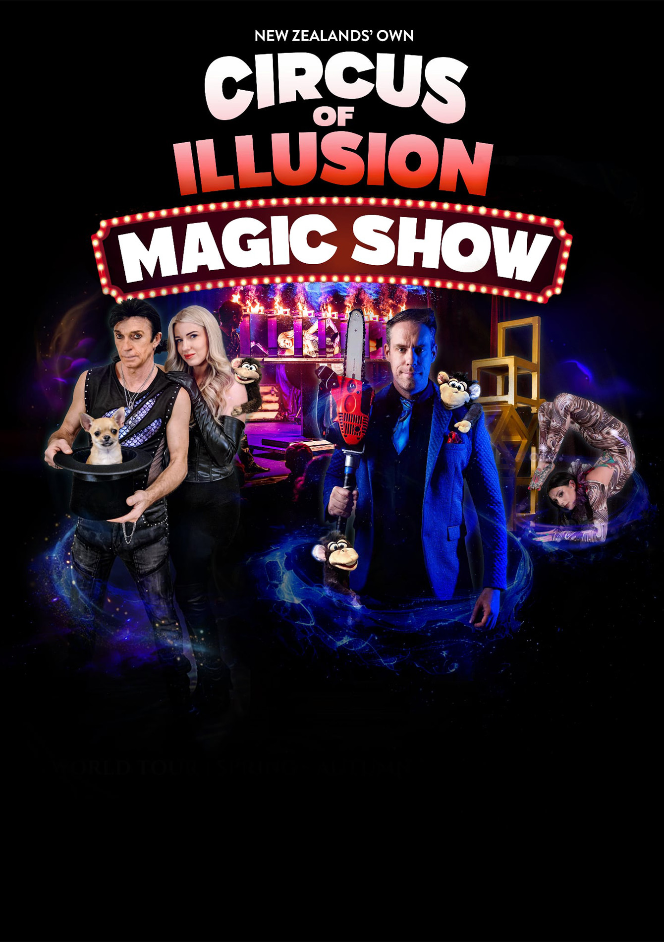 Circus of Illusion Magic Show