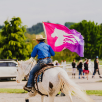 Equifest