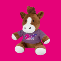 Equifest Teddy