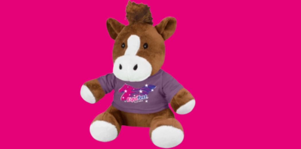 Equifest Teddy