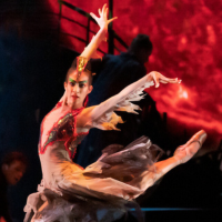 The Firebird with My Brilliant Career