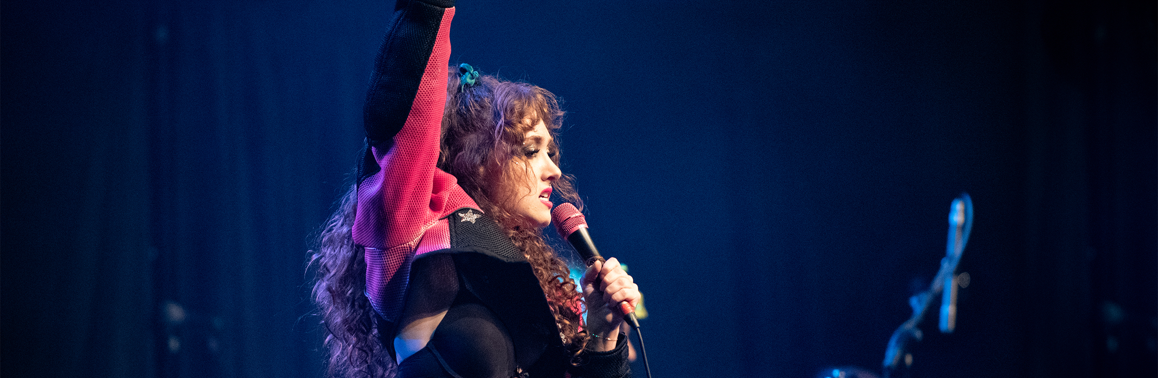 Chappell Roan Waitlist