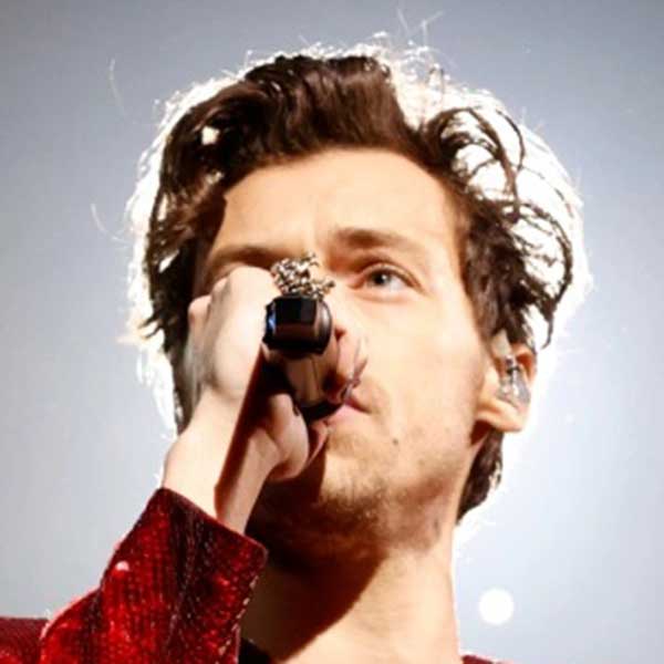 Harry Styles Waitlist