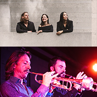 Chamber Music New Zealand