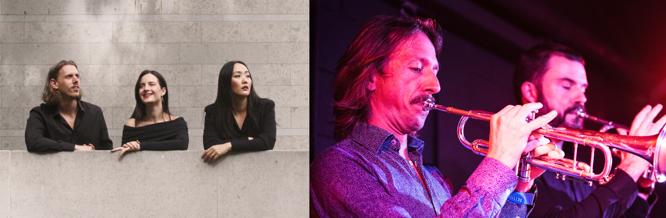 Chamber Music New Zealand